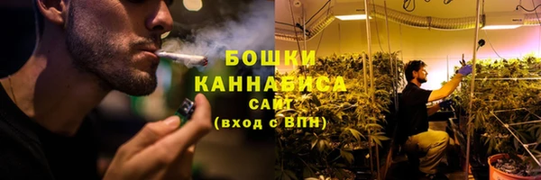 дмт Арсеньев
