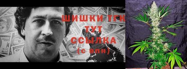 дмт Арсеньев
