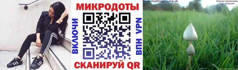 хочу наркоту  Изобильный  Псилоцибиновые грибы Psilocybine cubensis 
